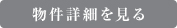 詳細を見る