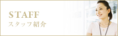 スタッフ紹介
